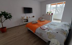 Apartament Spatios In Brasov