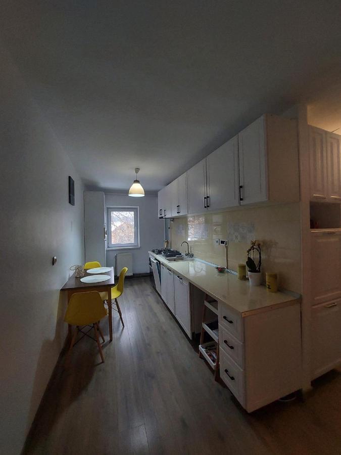 Apartament Spatios In Brașov Exterior foto