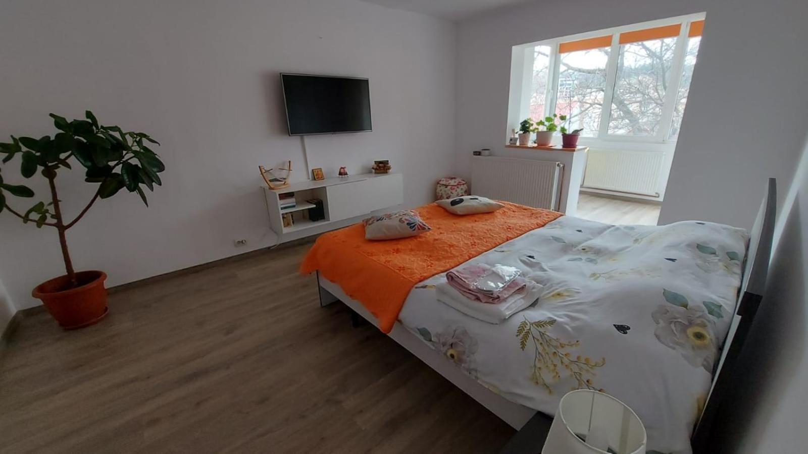 Apartament Spatios In Brașov Exterior foto