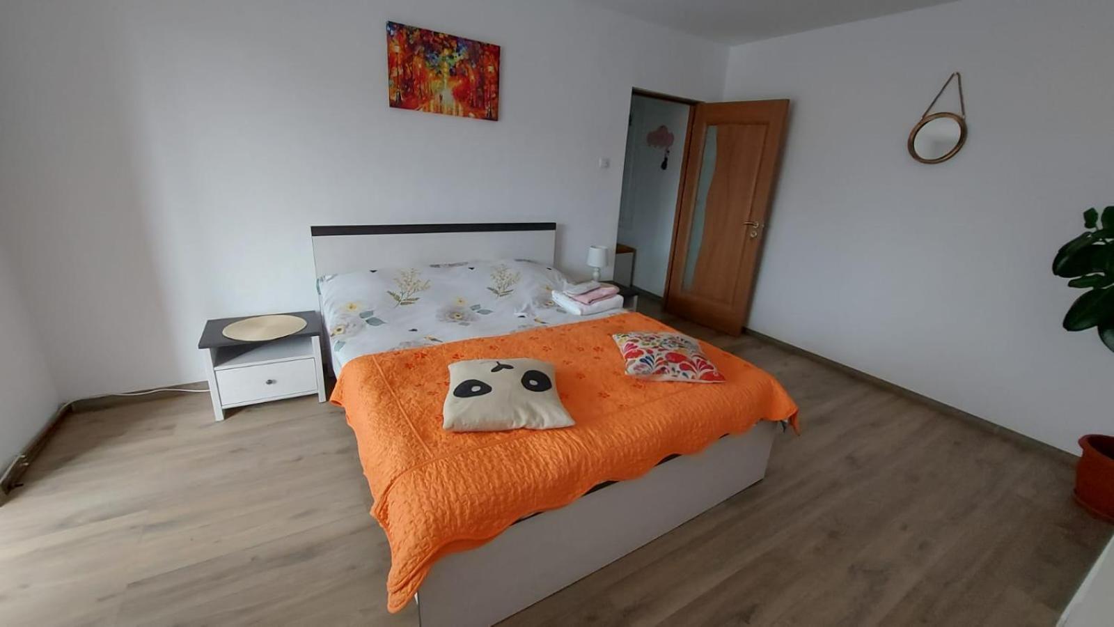 Apartament Spatios In Brașov Exterior foto