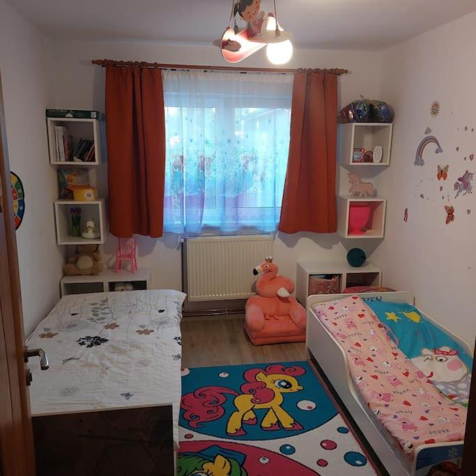 Apartament Spatios In Brașov Exterior foto