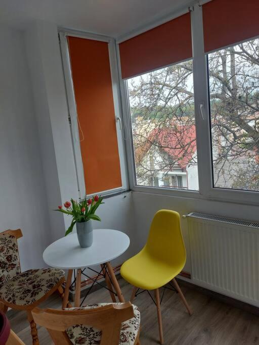 Apartament Spatios In Brașov Exterior foto