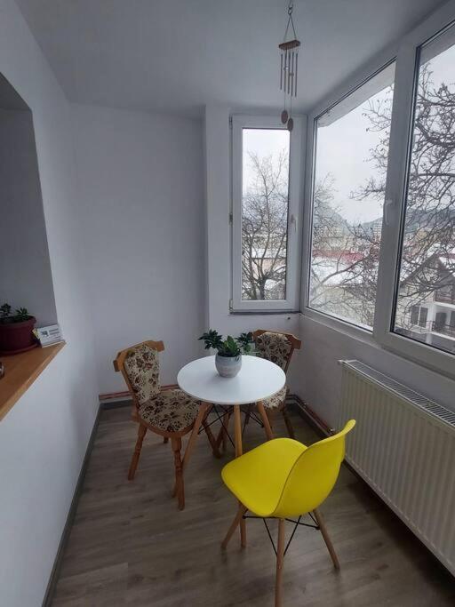 Apartament Spatios In Brașov Exterior foto